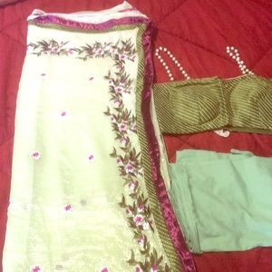 Saree with embroidery with designer blouse.