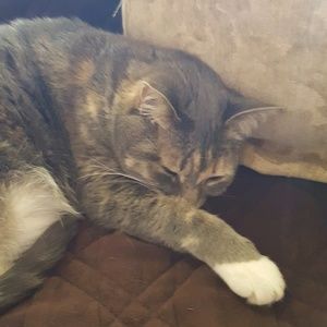 Meet your Posher, Vicki l