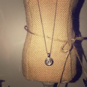 Silver Pandora Necklace