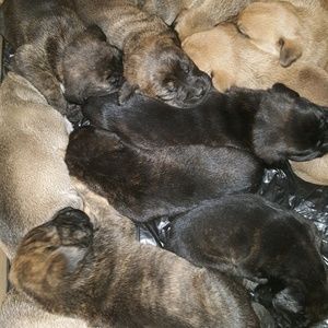 Meet your Posher, Evette