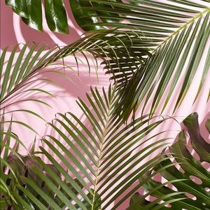 Meet your Posher, Tuyen