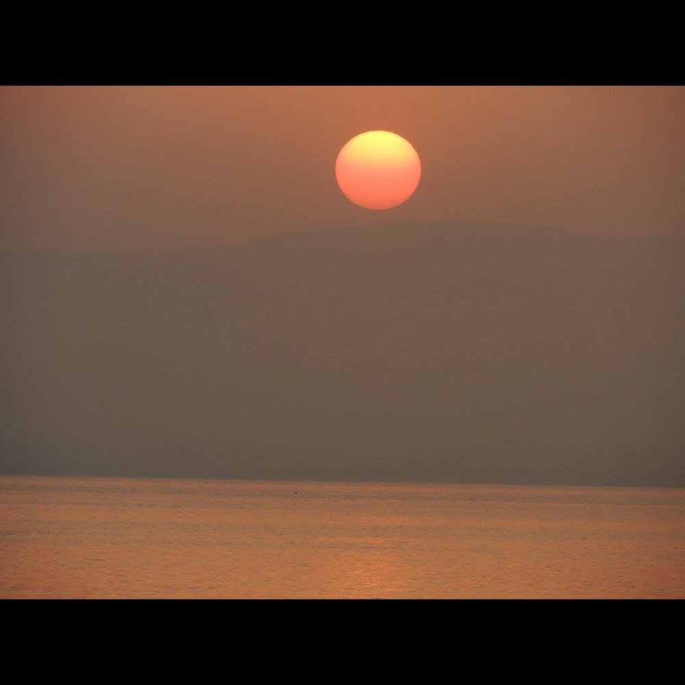 Meet your Posher, Aimee