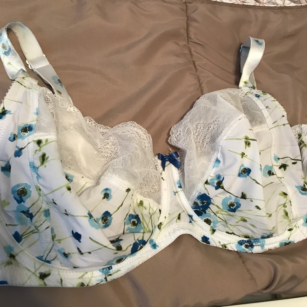 Parfait by Affinitas Louisa Bra 34G