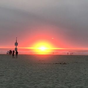 Meet your Posher, Olga