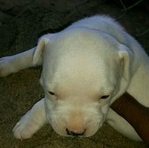 Meet your Posher, Marcus