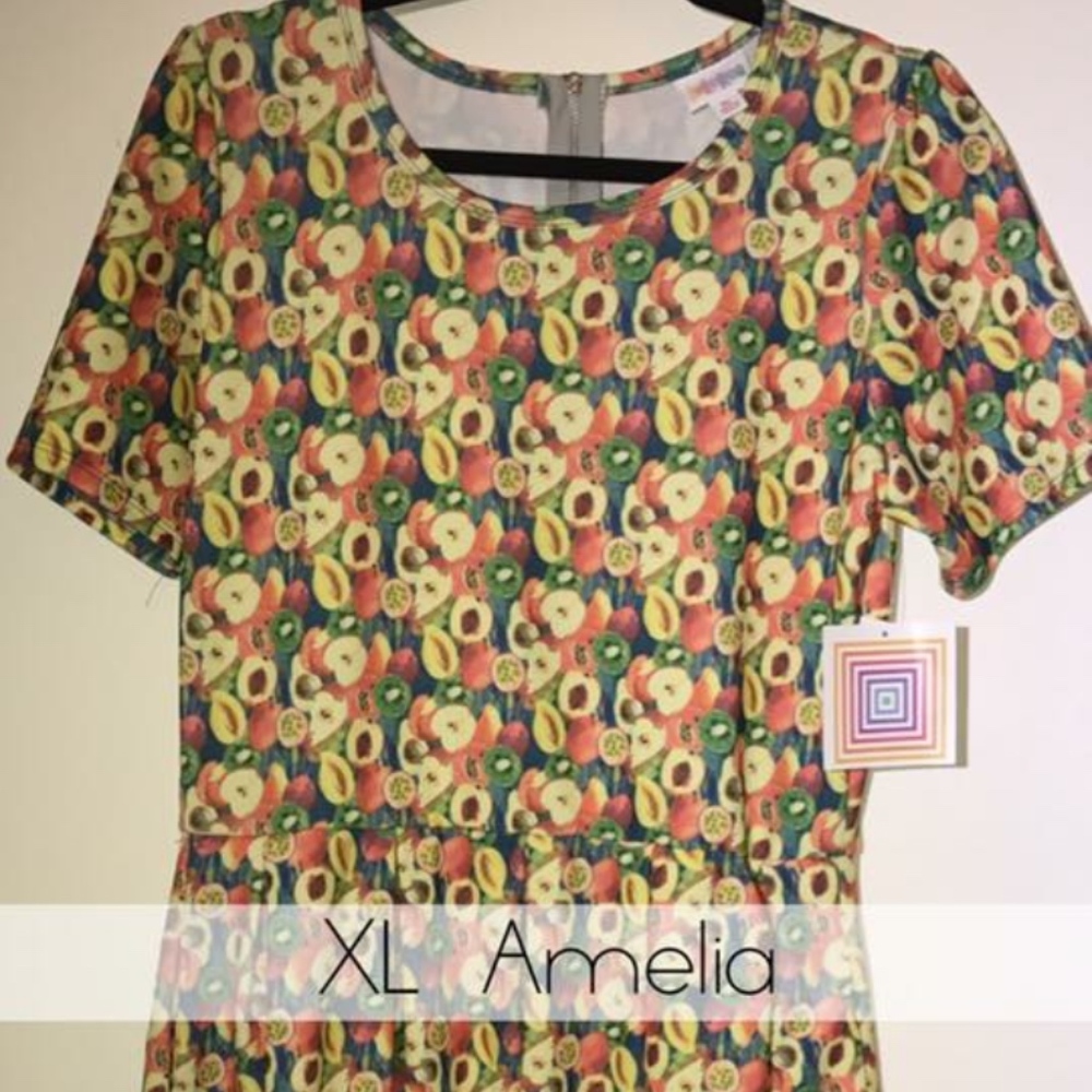 XL Amelia