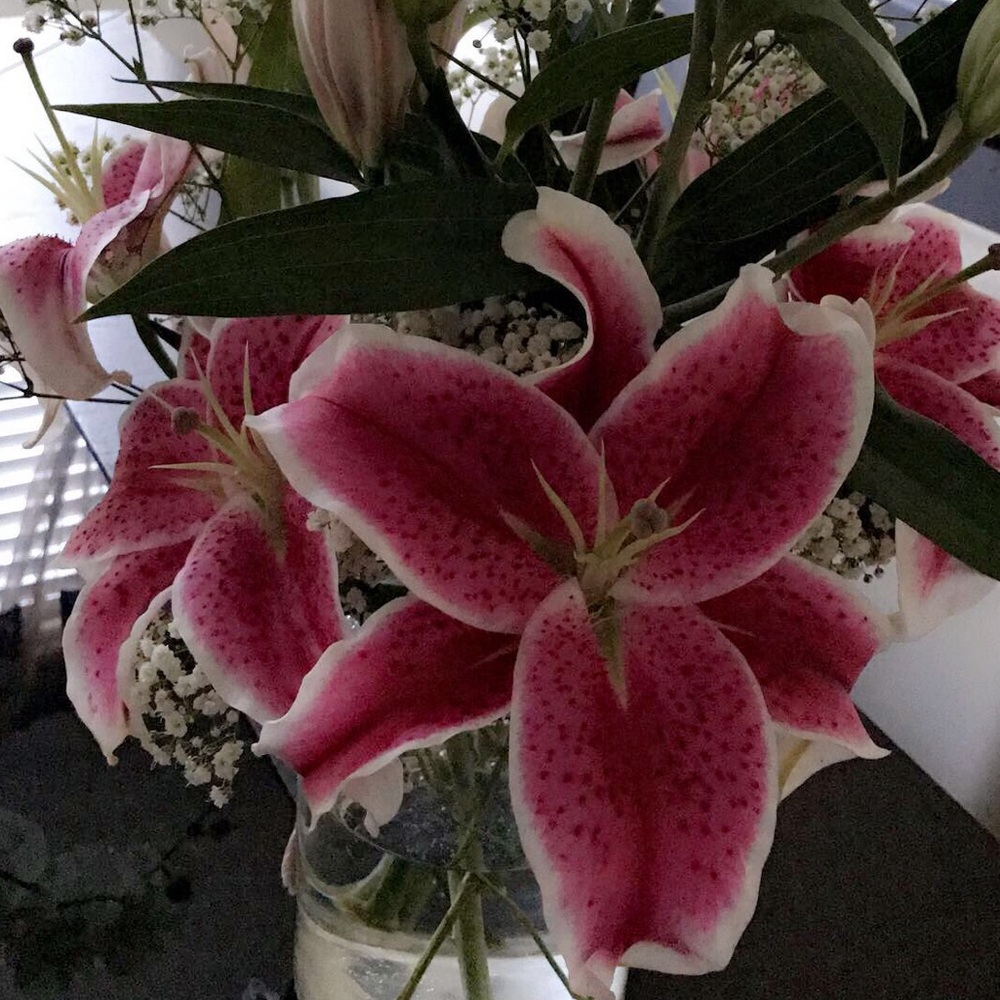 Meet your Posher, Phuong