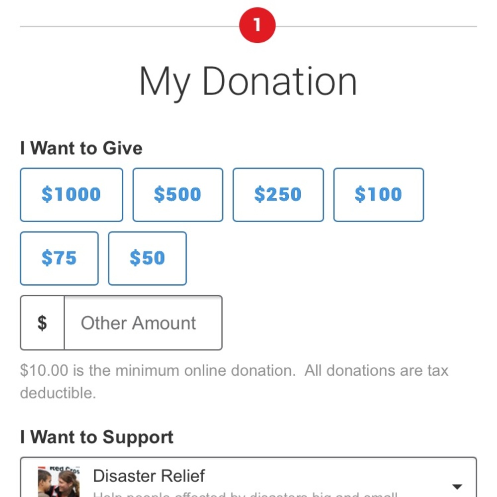 100% PROFIT DONATION