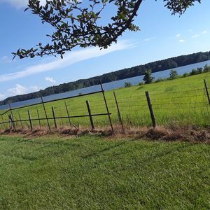 Meet your Posher, Rivera