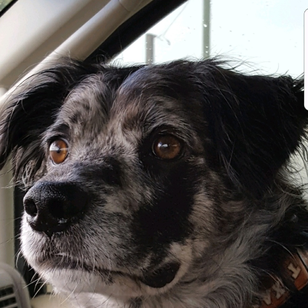 Meet your Posher, Tammy