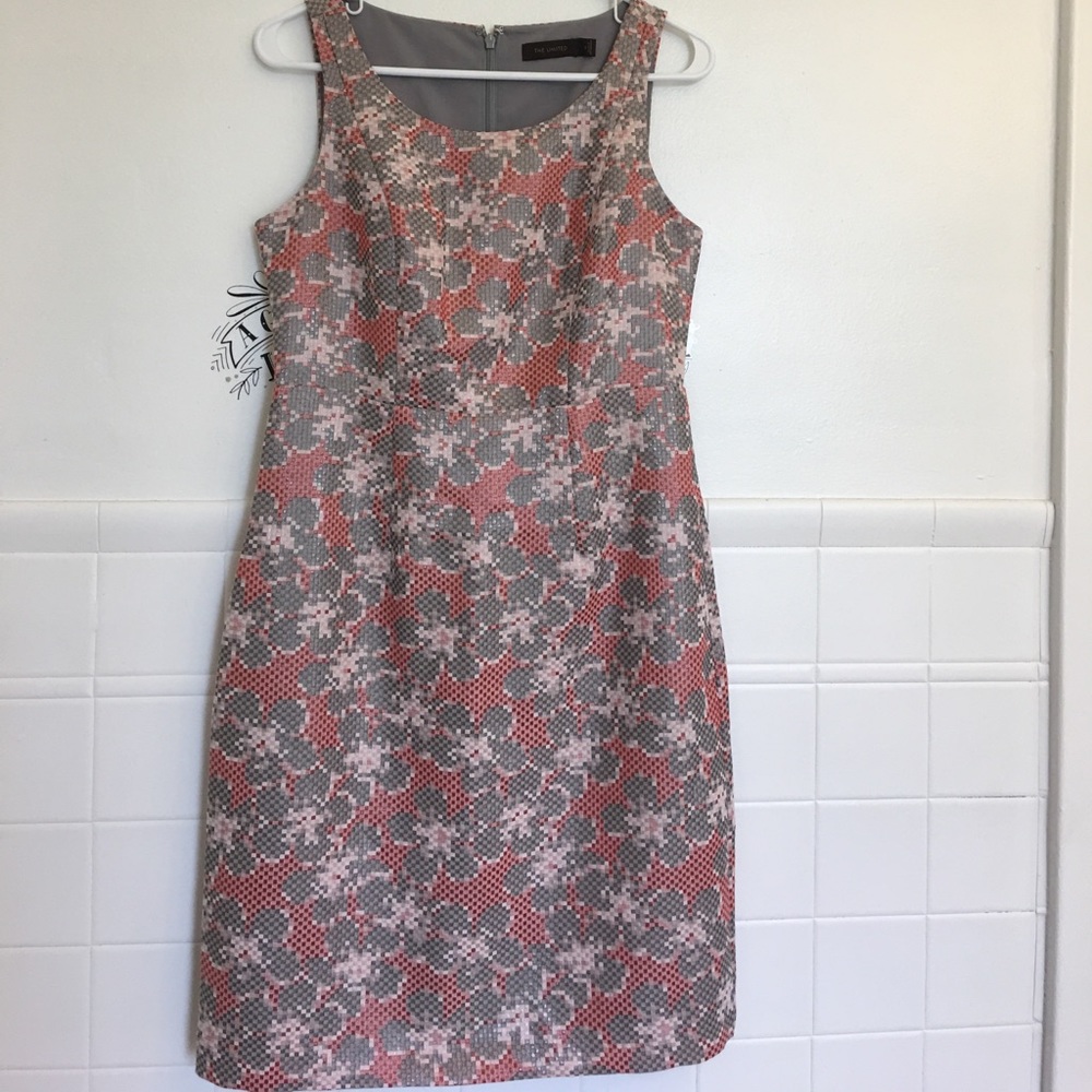 Gorgeous Limited dress