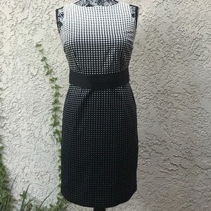 ANN TAYLOR Beautiful black and white dress