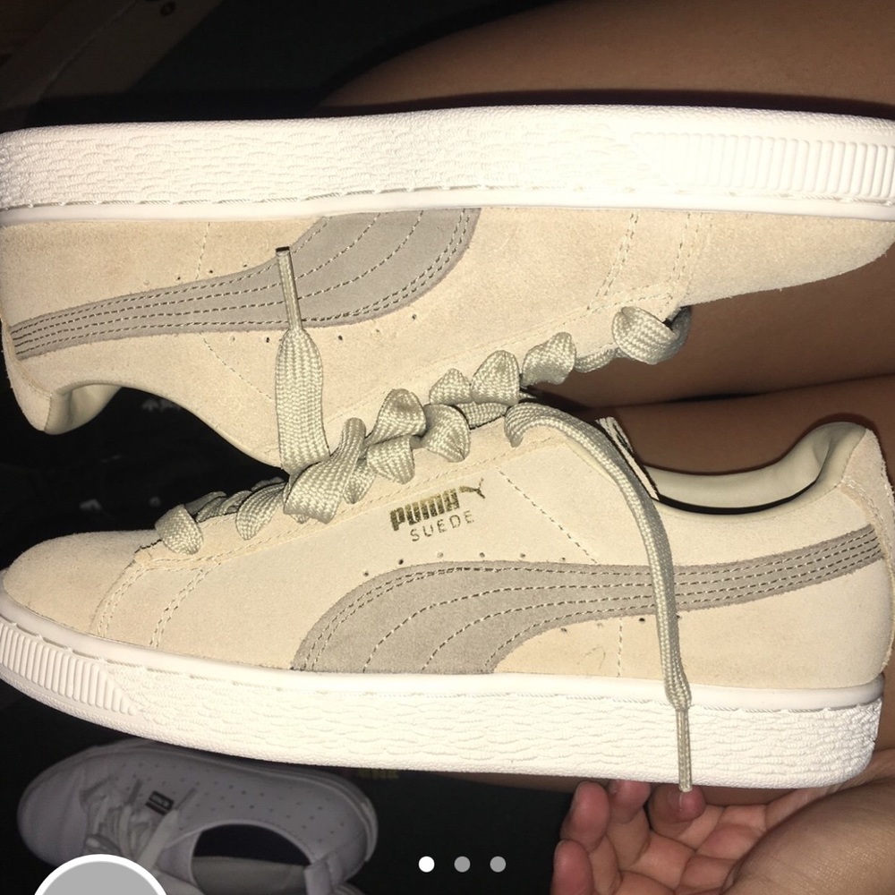 Pumas