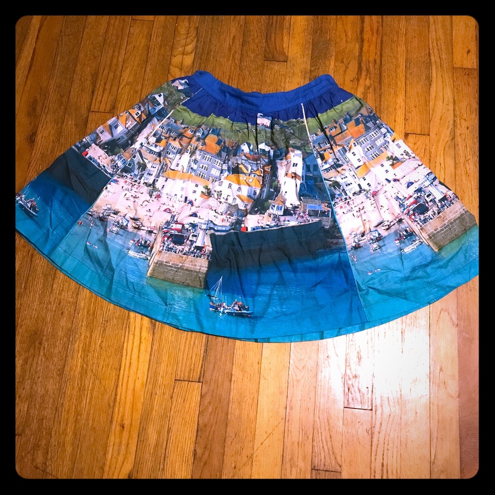 Gorgeous Landscape Print Midi Skirt