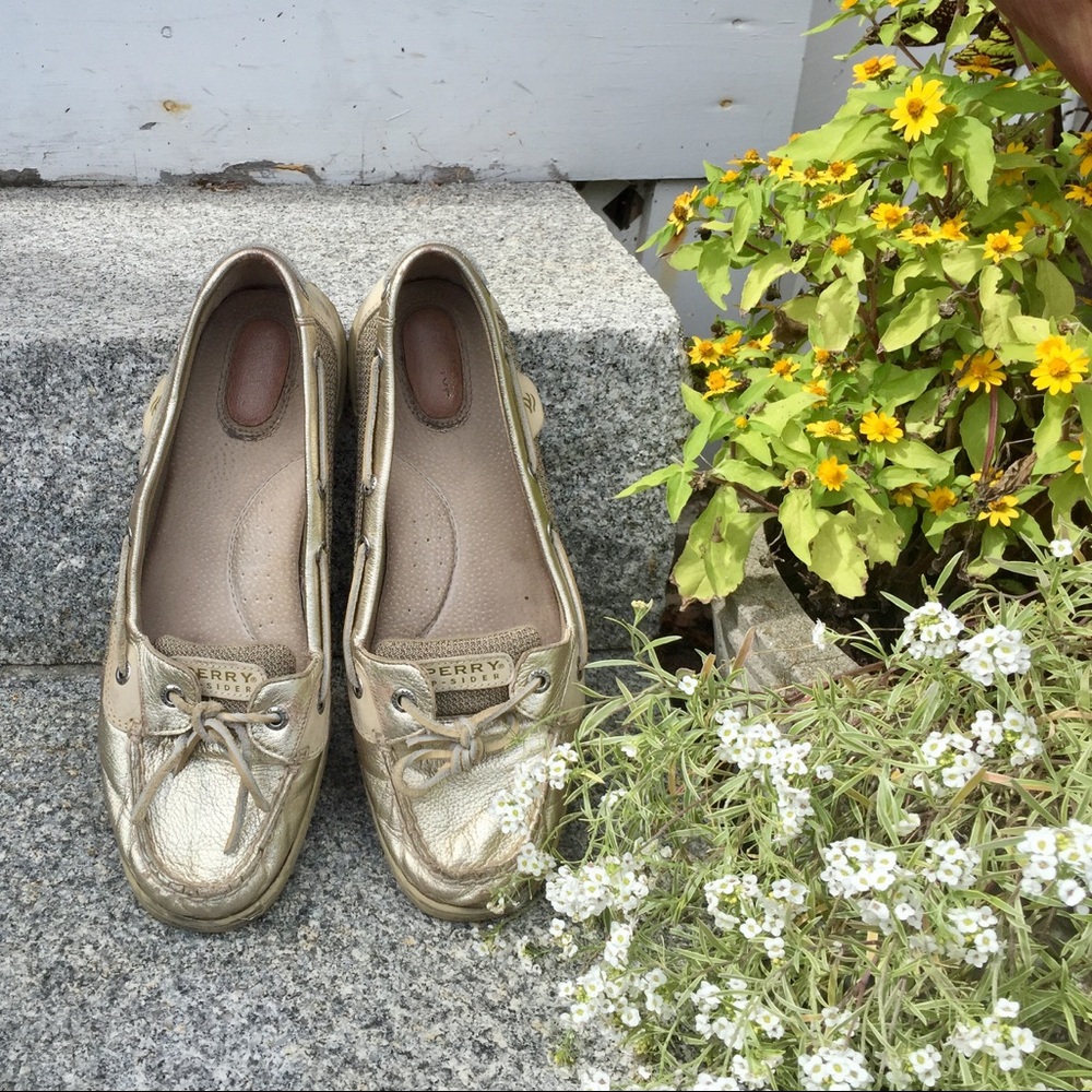 Angelfish Gold Sperrys