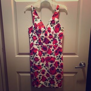 Rose pattern Bebe Dress