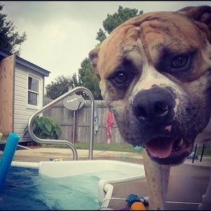 Meet your Posher, Isaiah