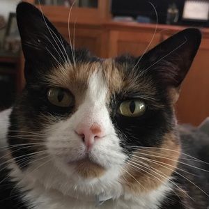 Meet your Posher, Rick