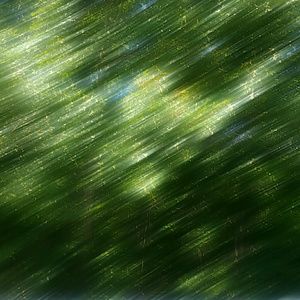 Meet your Posher, Yolanda