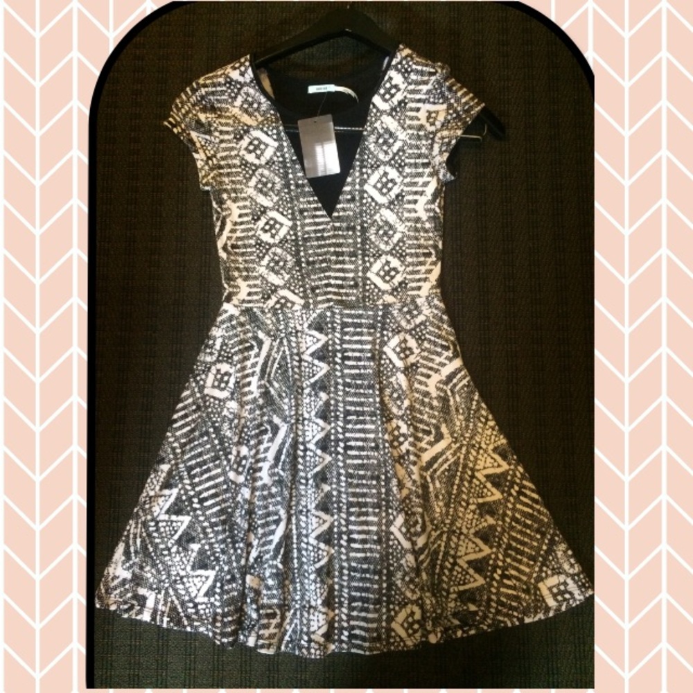 Black and White Print Mesh Deep V Skater Dress