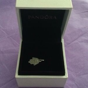 Pandora Charm