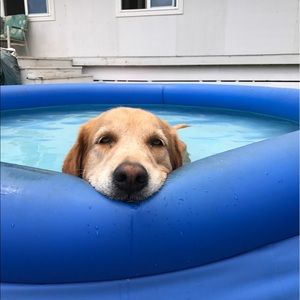 Meet your Posher, Kelli