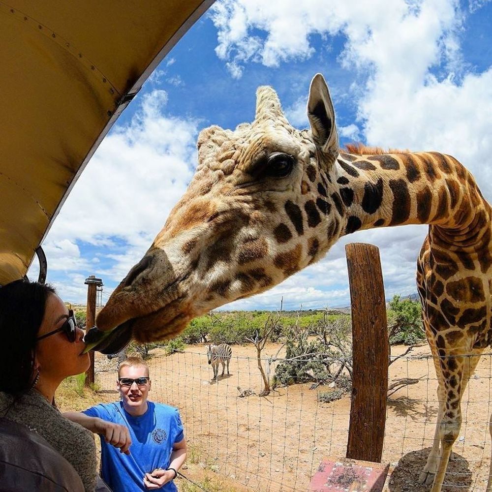 Meet your Posher, Kim