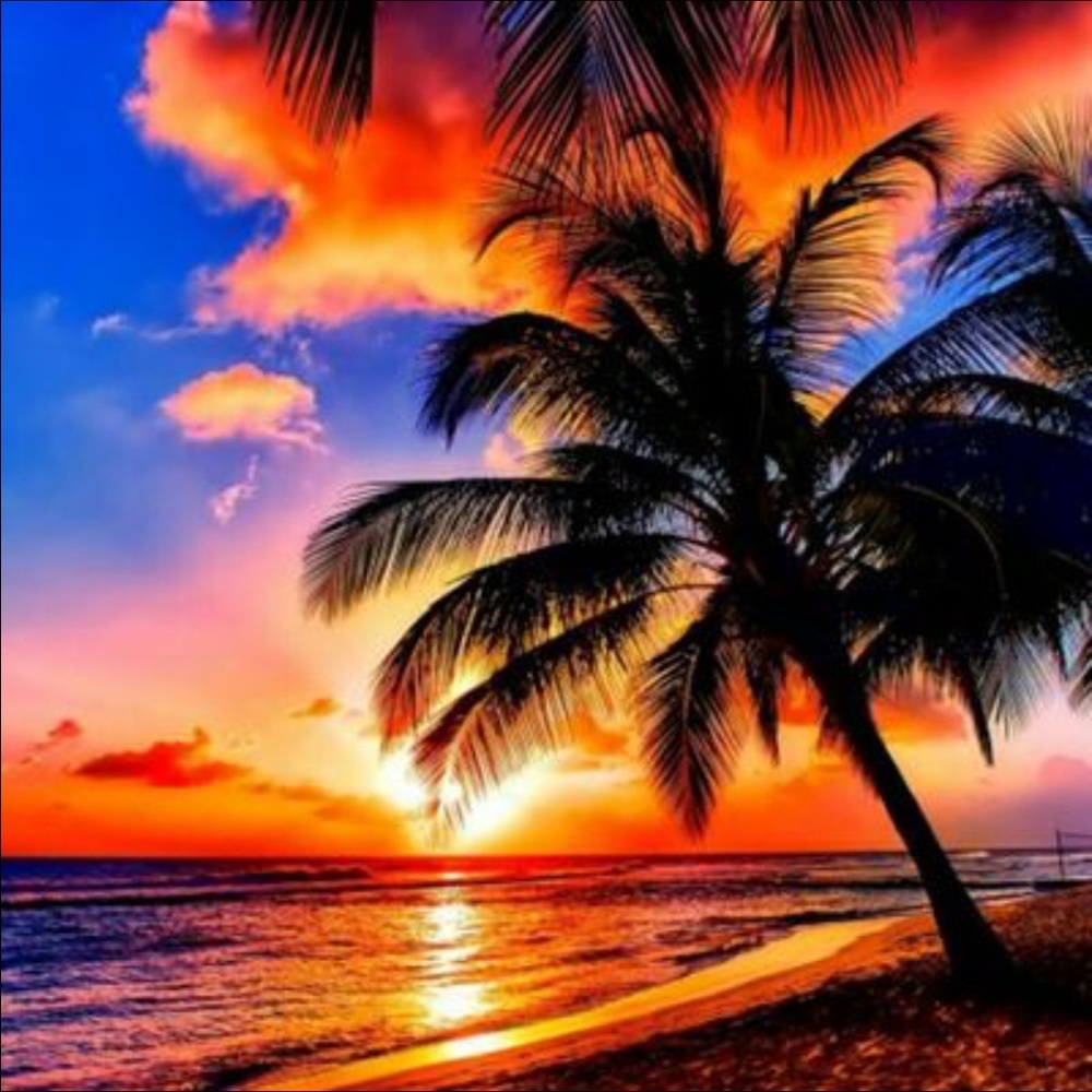 Meet your Posher, Frances