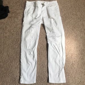 White American Eagle Crops