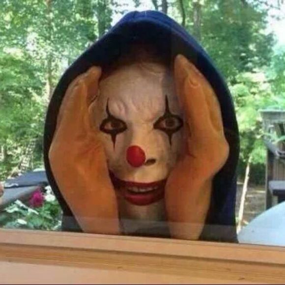 Meet your Posher, David - Picture 1 of 1