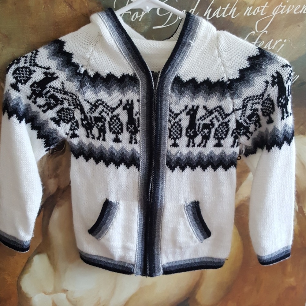 Peruvian alpaca boy's hoodie