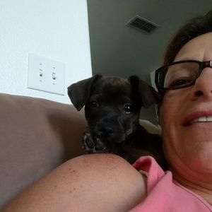 Meet your Posher, Jenny