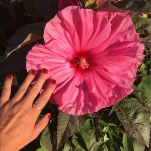 Meet your Posher, Kelsey