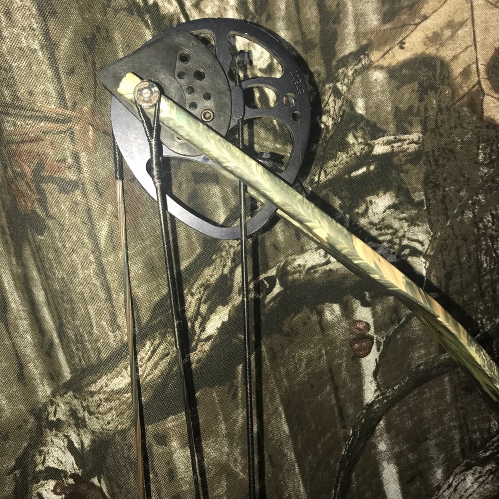 Browning Compound Bow