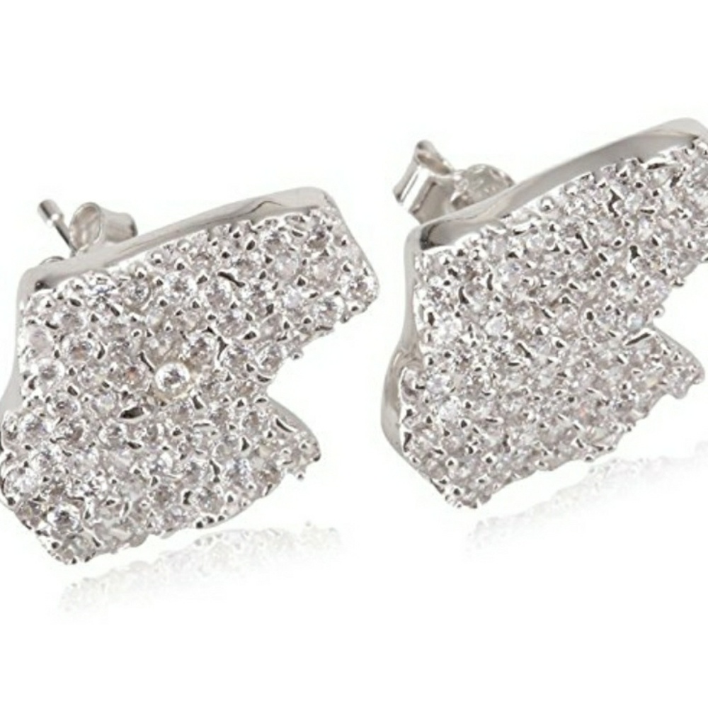 Sterling Silver Earrings