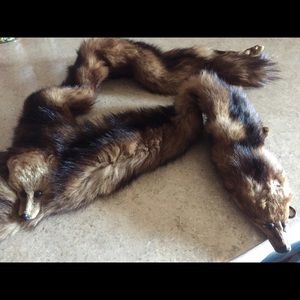 Vintage pelt from 1940s