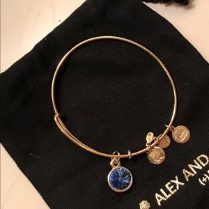Alex and Ani Charm Bracelet