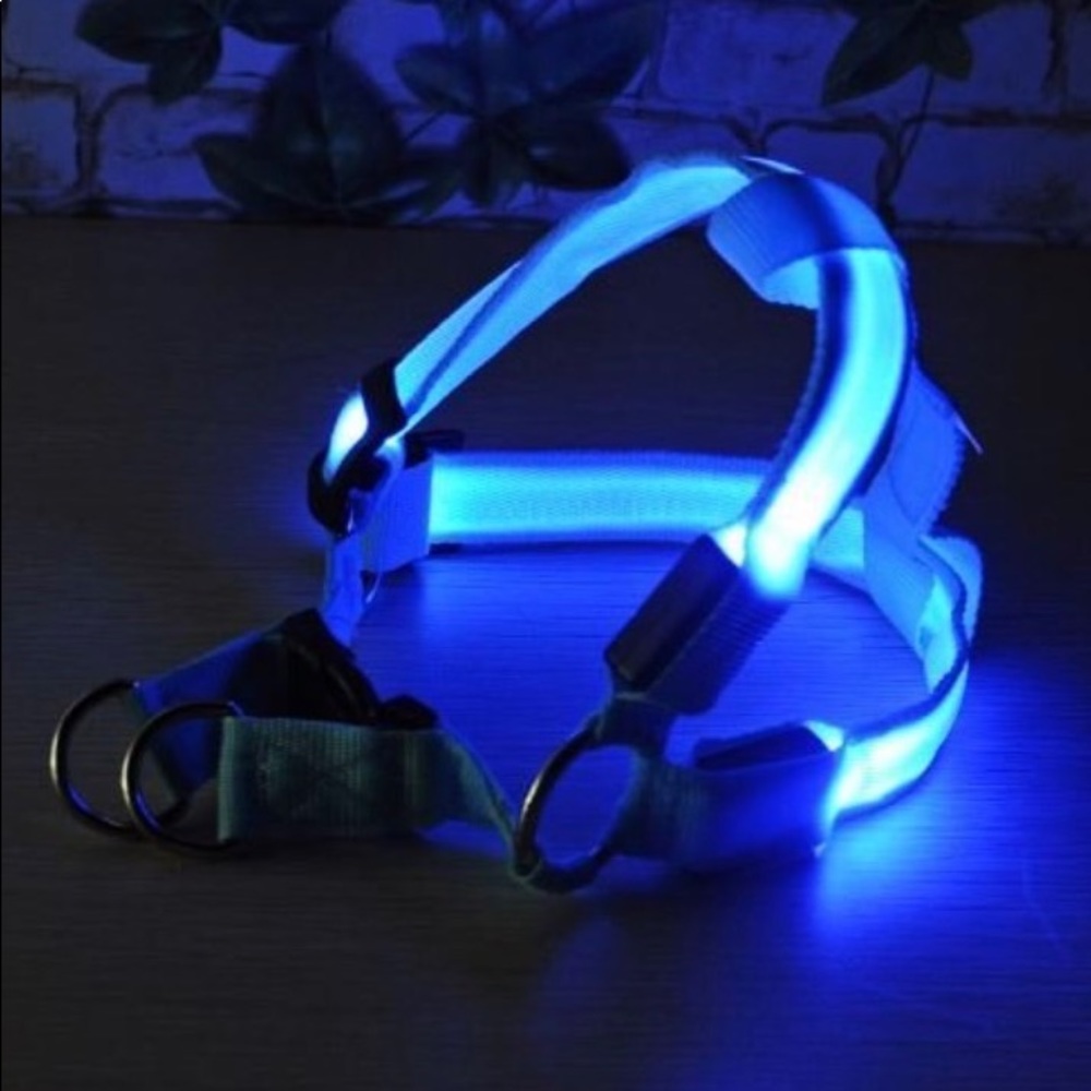 LED Dog Harness