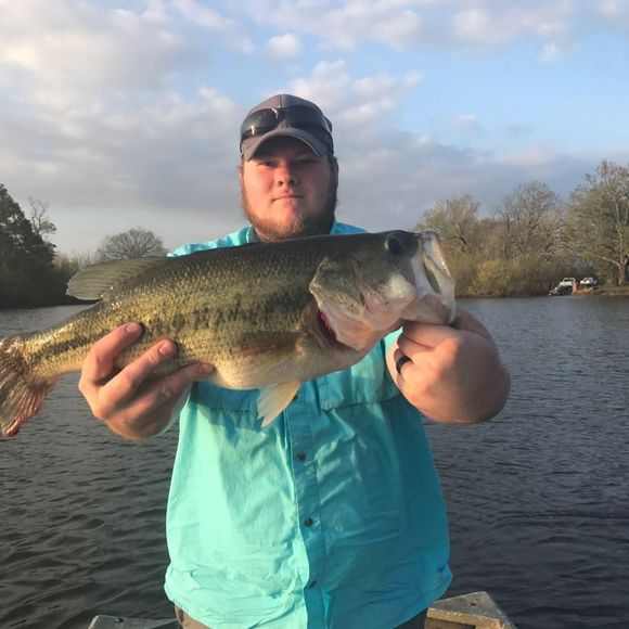 Meet your Posher, Scotty - Picture 1 of 1