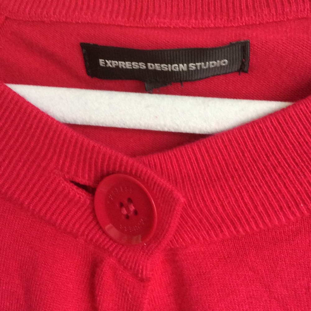 Express Raspberry Color Sweater Size S - image 2