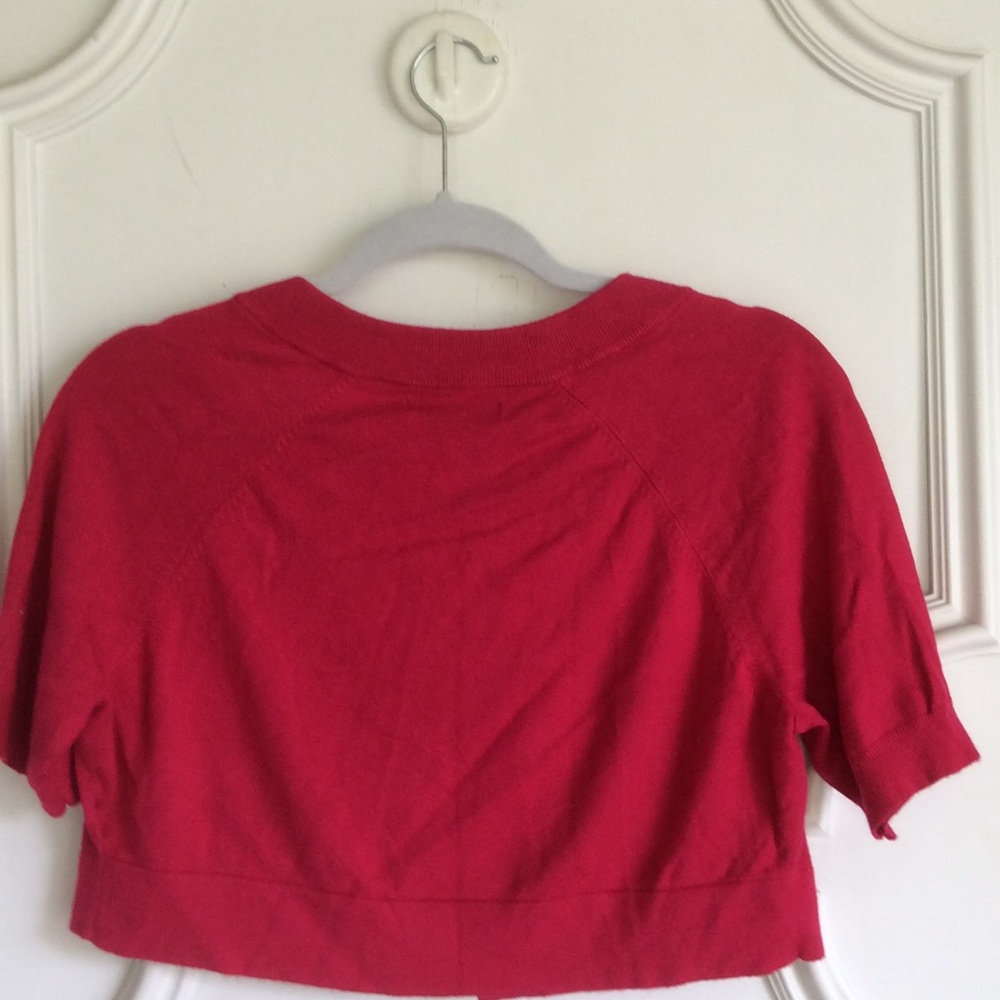 Express Raspberry Color Sweater Size S - image 3