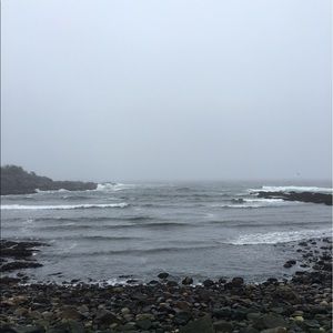 Meet your Posher, Cody