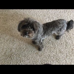 Meet your Posher, Madalina