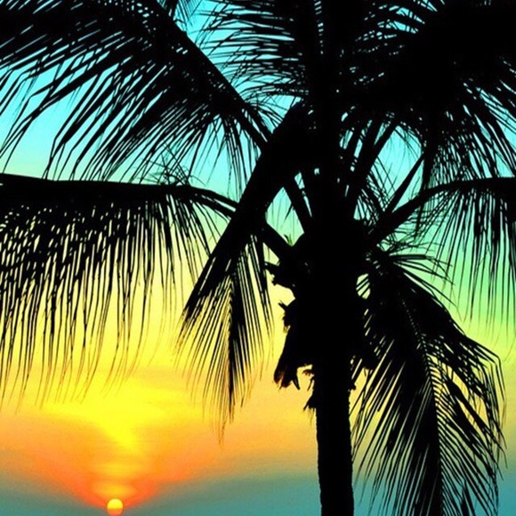 Meet your Posher, Zach - Picture 1 of 1