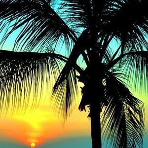 Meet your Posher, Zach