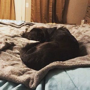 Meet your Posher, Paige