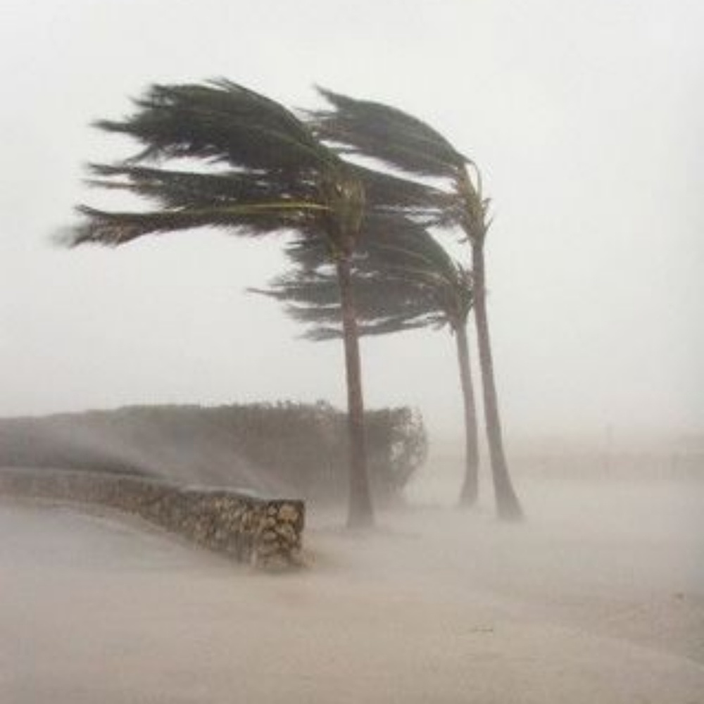 Closed for HURRICANE IRMA..