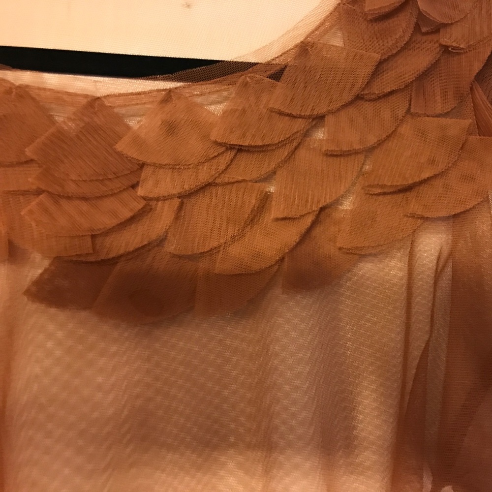 Sheer top with ruffles on top - Picture 2 of 4