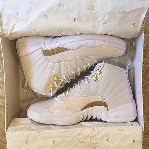 100% AUTHENTIC New Air Jordan 12 Retro OVO Sz 10