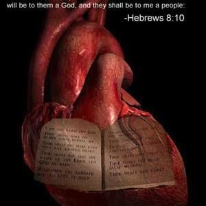 Meet your Posher, Darrell